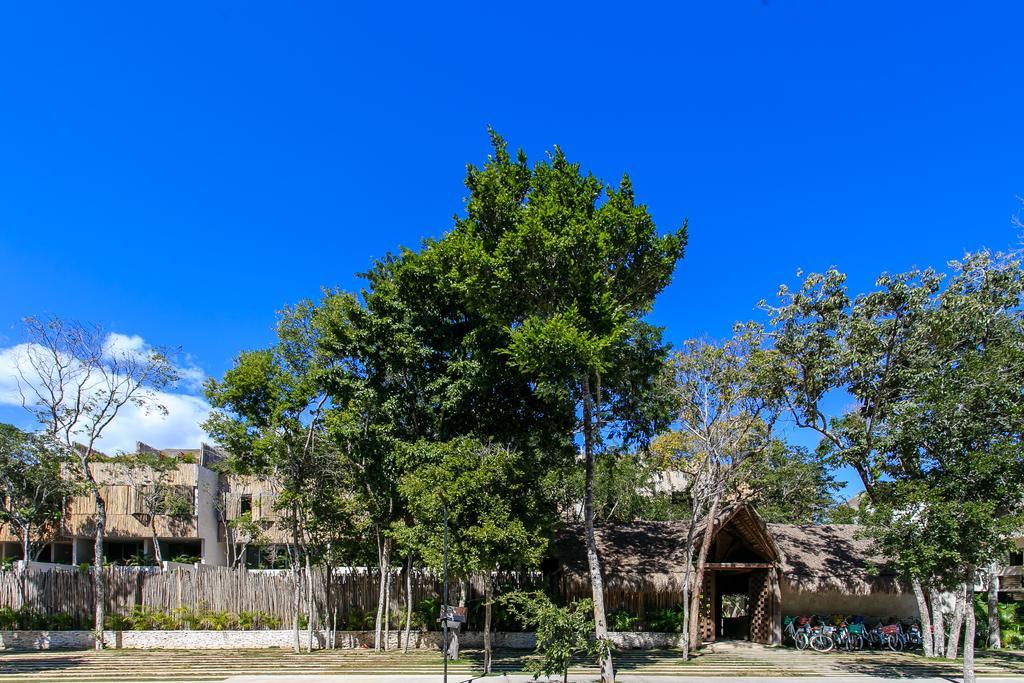 Eco-Chic Design Condos Wrapped In Nature'S Elements By Stella Rentals Тулум Екстериор снимка